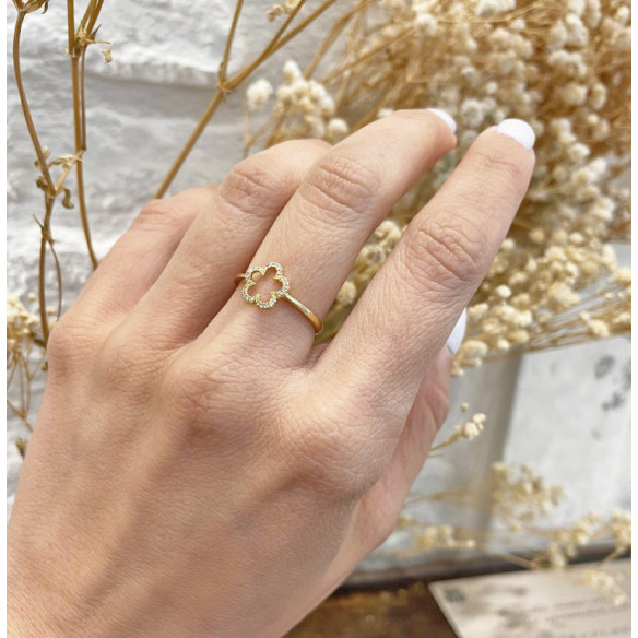 Anello in oro e diamanti piccoli dettagli - Brillante