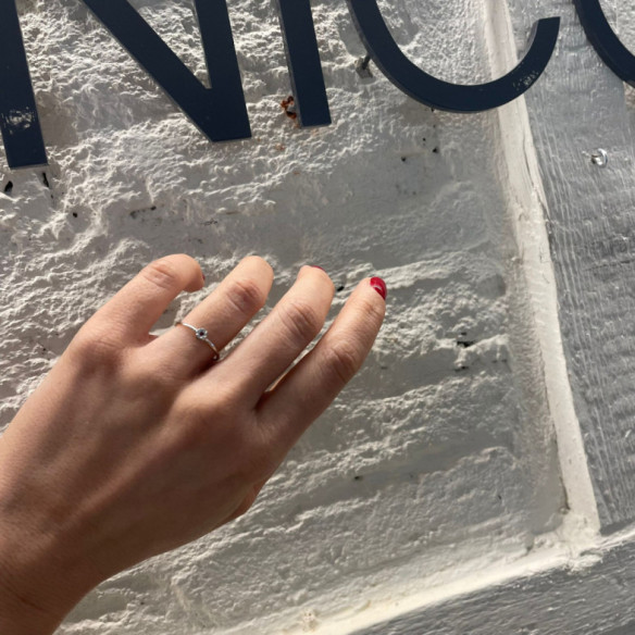 Anillo Diamantes y Rubi Camelia 0.11 - Anillos de Rubí
